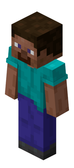 Steve